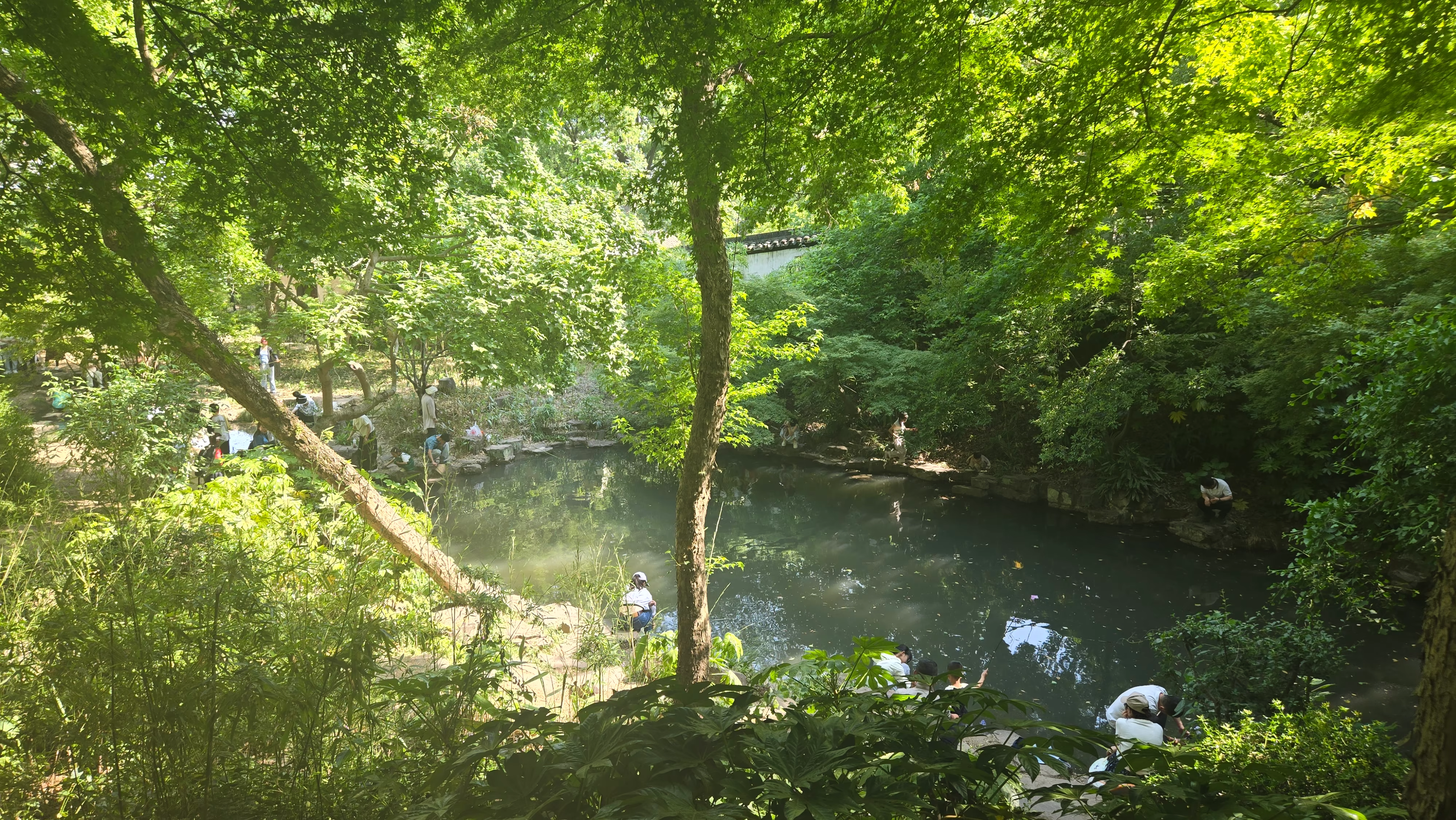 虎丘养鹤涧景观