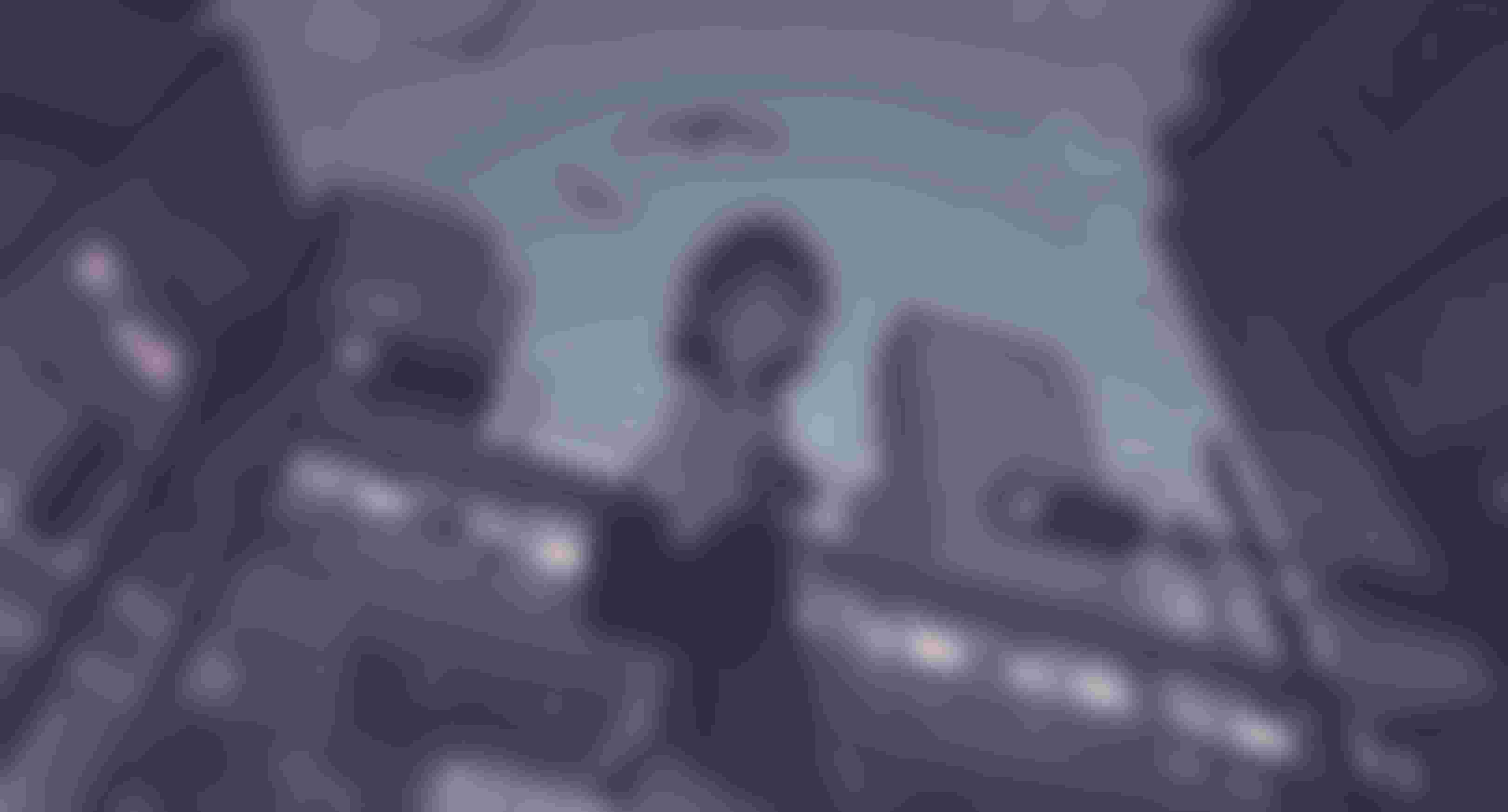 lqip