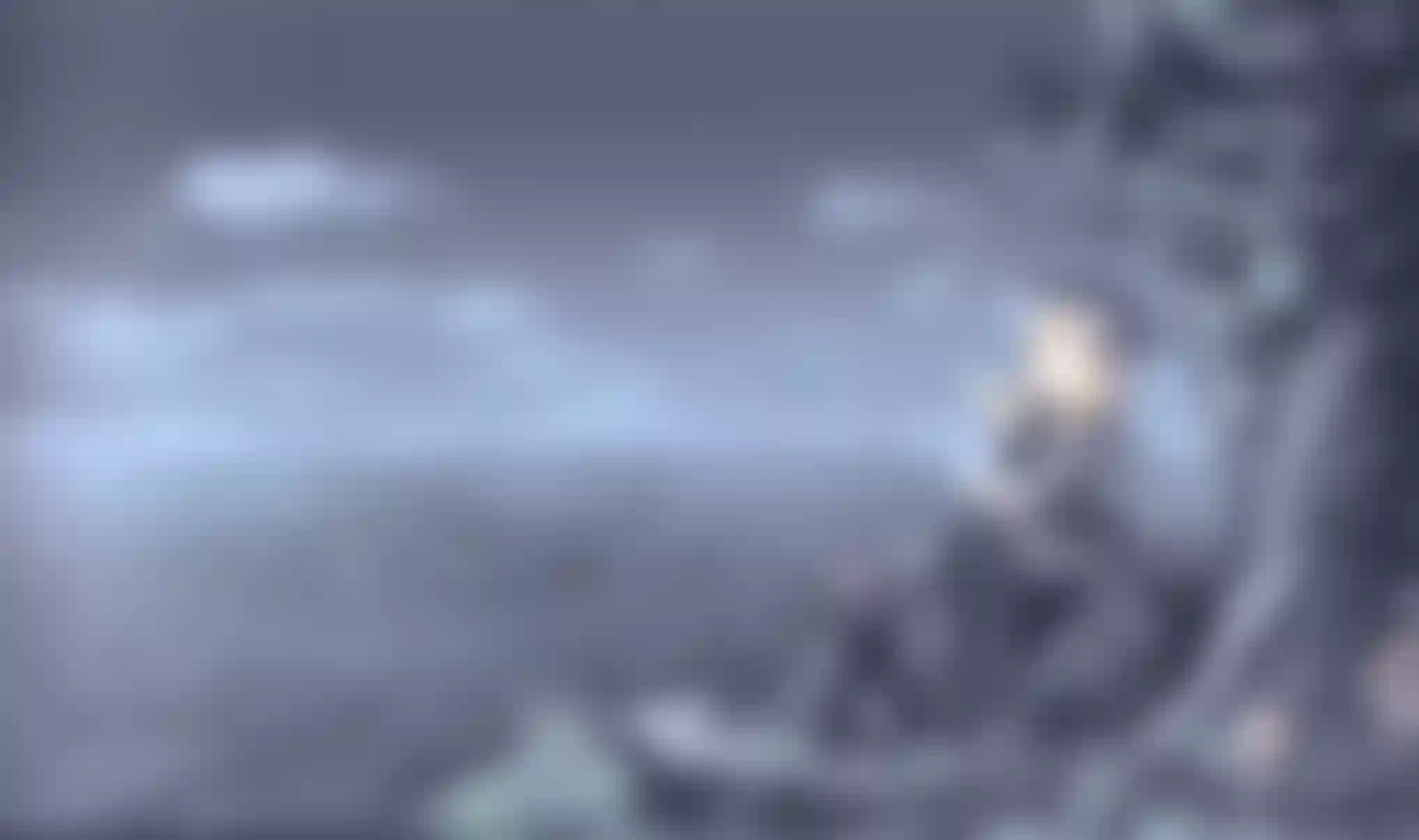 lqip