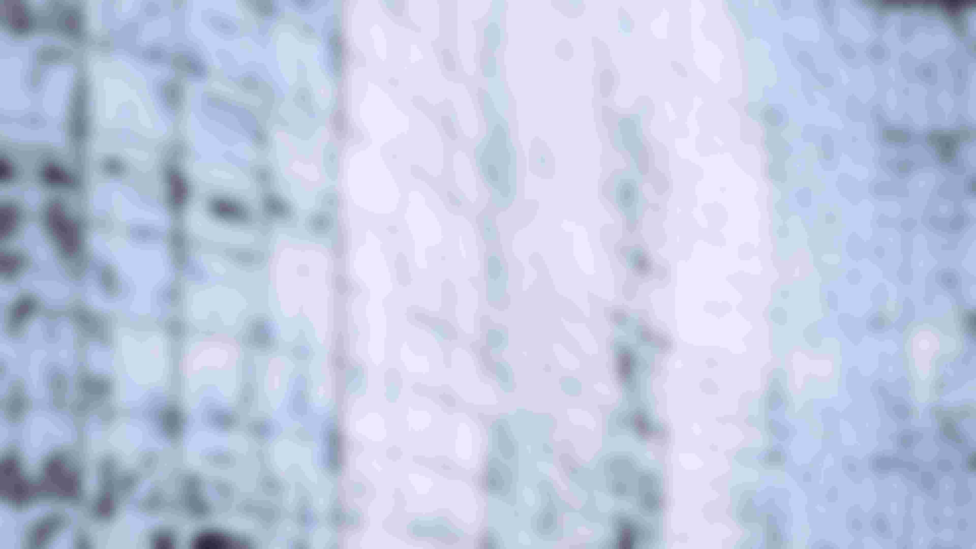 lqip