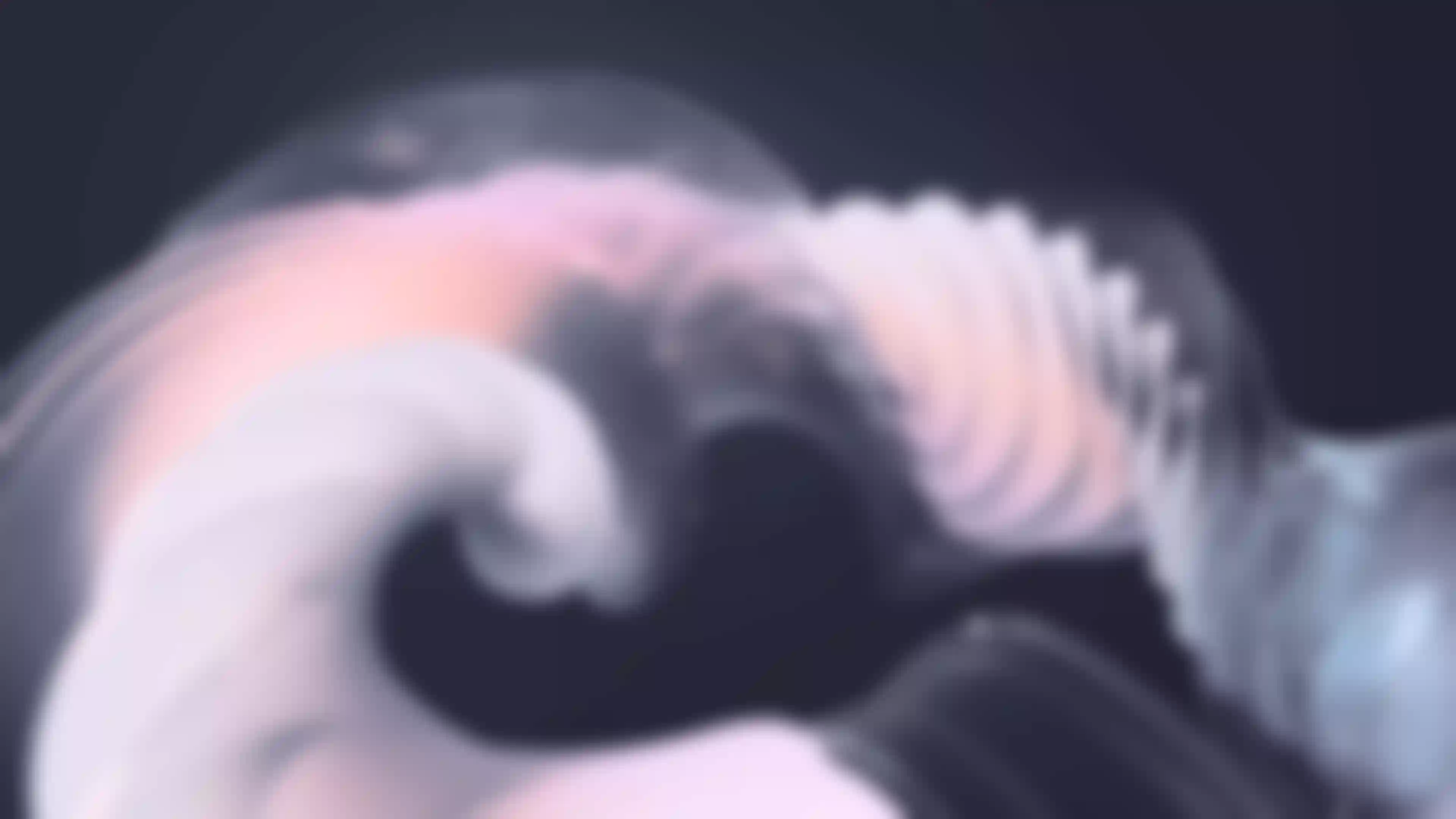 lqip
